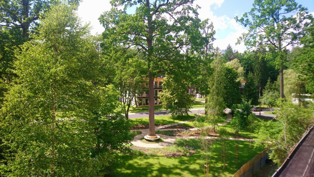 Enklawa Bialowieska Forest & Spa Hajnówka Exteriör bild